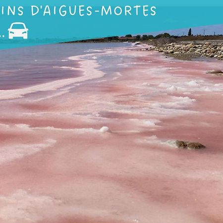 Le Flamant Rose - Cosykaz Apartment Aigues-Mortes Exterior foto